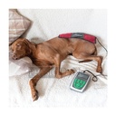 MAGNETOVET 200- Avec couche