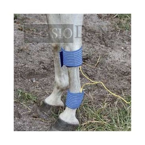 TENS/EMS - STIMVET 4000