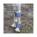 TENS/EMS - STIMVET 4000