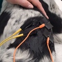 TENS/EMS - STIMVET 200