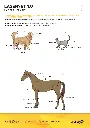 FRA-1025.D_LaserVet-1.0_page-0002.webp