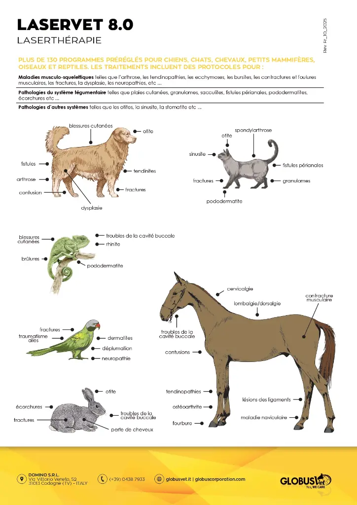 FRA-1025.D_LaserVet-8.0_page-0002.webp