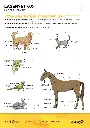 FRA-1025.D_LaserVet-8.0_page-0002.webp