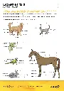 FRA-1025.D_LaserVet-15.0_page-0002.webp