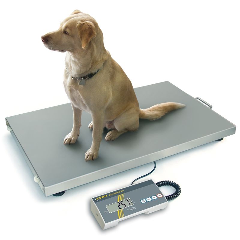 Balance vétérinaire, utilisation fixe et mobile, jusqu'à 150 kg, LCD