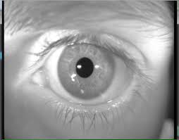 [CAVUSB] FRAMVIDEO software with video acquisition card